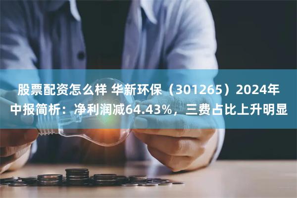 股票配资怎么样 华新环保（301265）2024年中报简析：净利润减64.43%，三费占比上升明显