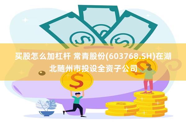 买股怎么加杠杆 常青股份(603768.SH)在湖北随州市投设全资子公司