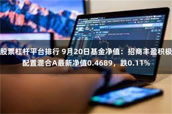 股票杠杆平台排行 9月20日基金净值：招商丰盈积极配置混合A最新净值0.4689，跌0.11%