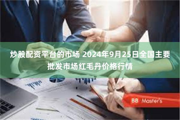 炒股配资平台的市场 2024年9月25日全国主要批发市场红毛丹价格行情