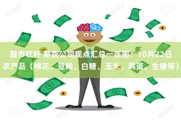 股市杠杆 期货公司观点汇总一张图：10月22日农产品（棉花、豆粕、白糖、玉米、鸡蛋、生猪等）