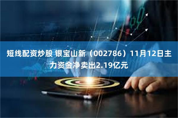 短线配资炒股 银宝山新（002786）11月12日主力资金净卖出2.19亿元