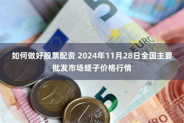 如何做好股票配资 2024年11月28日全国主要批发市场蛏子价格行情