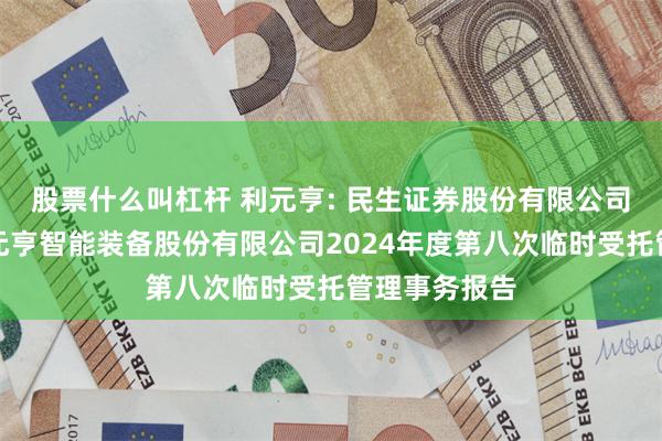 股票什么叫杠杆 利元亨: 民生证券股份有限公司关于广东利元亨智能装备股份有限公司2024年度第八次临时受托管理事务报告